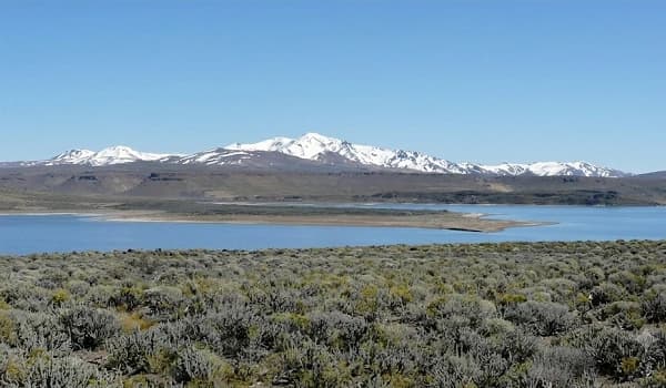Paisaje de Zapala